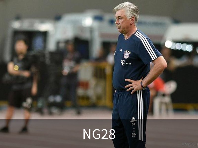 NG28简介